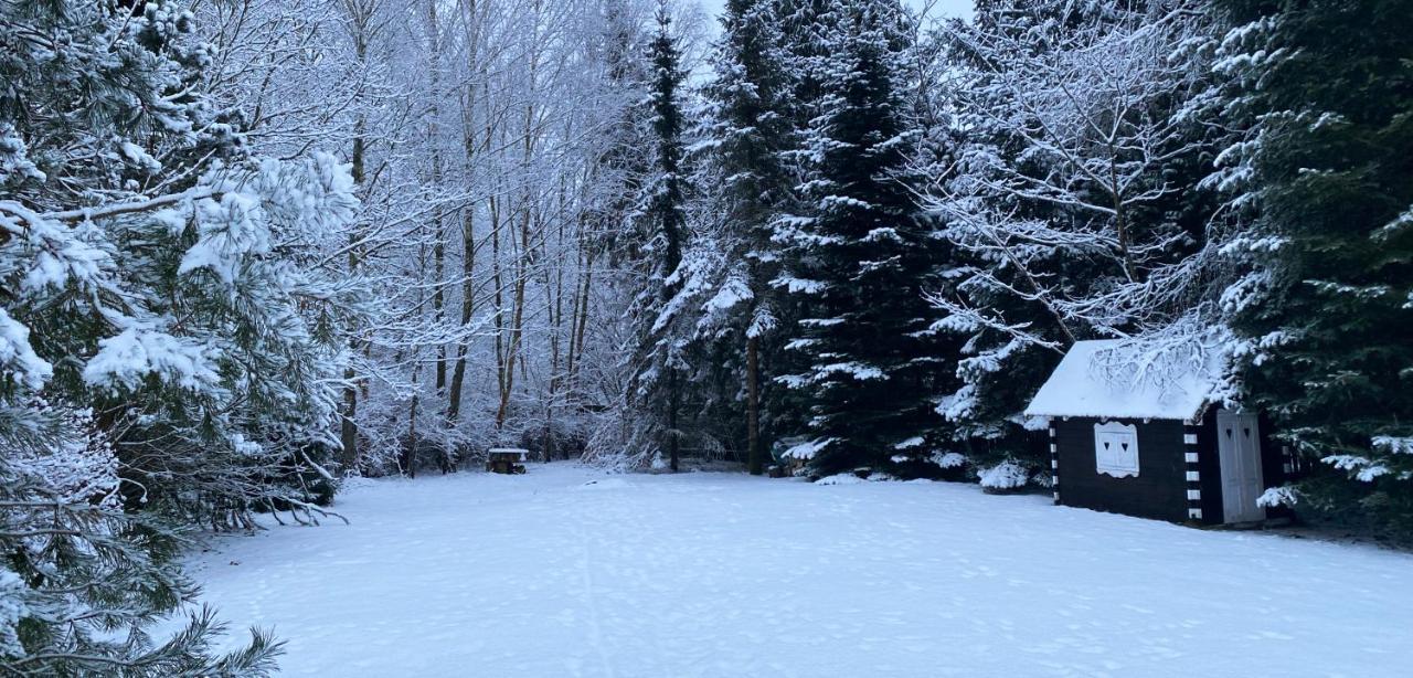 Szeroki Bor Oaza W Puszczy Z Sauna, Bania I Jacuzzi Buitenkant foto