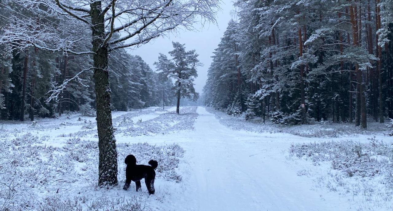 Szeroki Bor Oaza W Puszczy Z Sauna, Bania I Jacuzzi Buitenkant foto