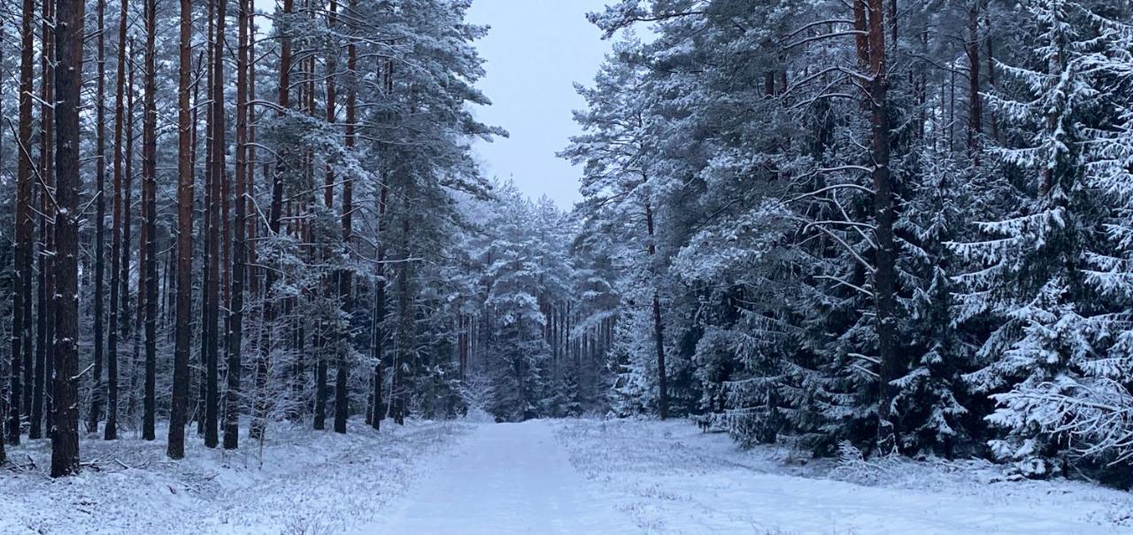 Szeroki Bor Oaza W Puszczy Z Sauna, Bania I Jacuzzi Buitenkant foto