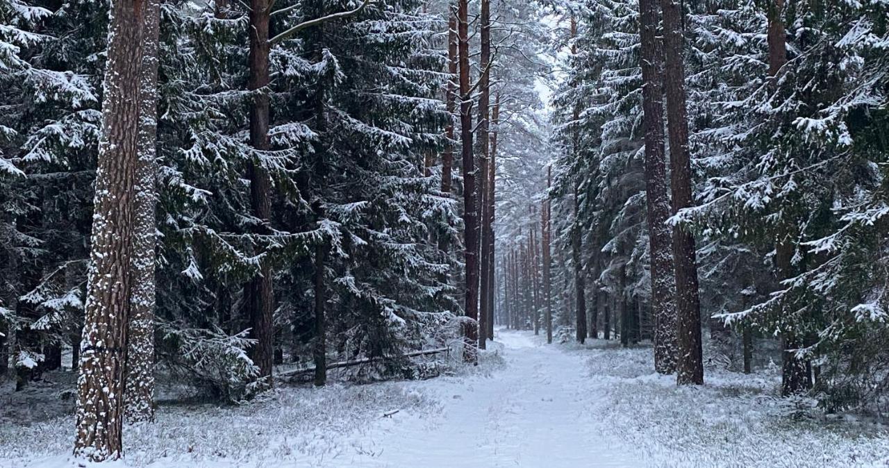 Szeroki Bor Oaza W Puszczy Z Sauna, Bania I Jacuzzi Buitenkant foto