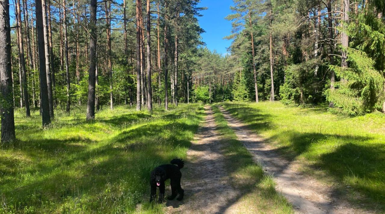 Szeroki Bor Oaza W Puszczy Z Sauna, Bania I Jacuzzi Buitenkant foto