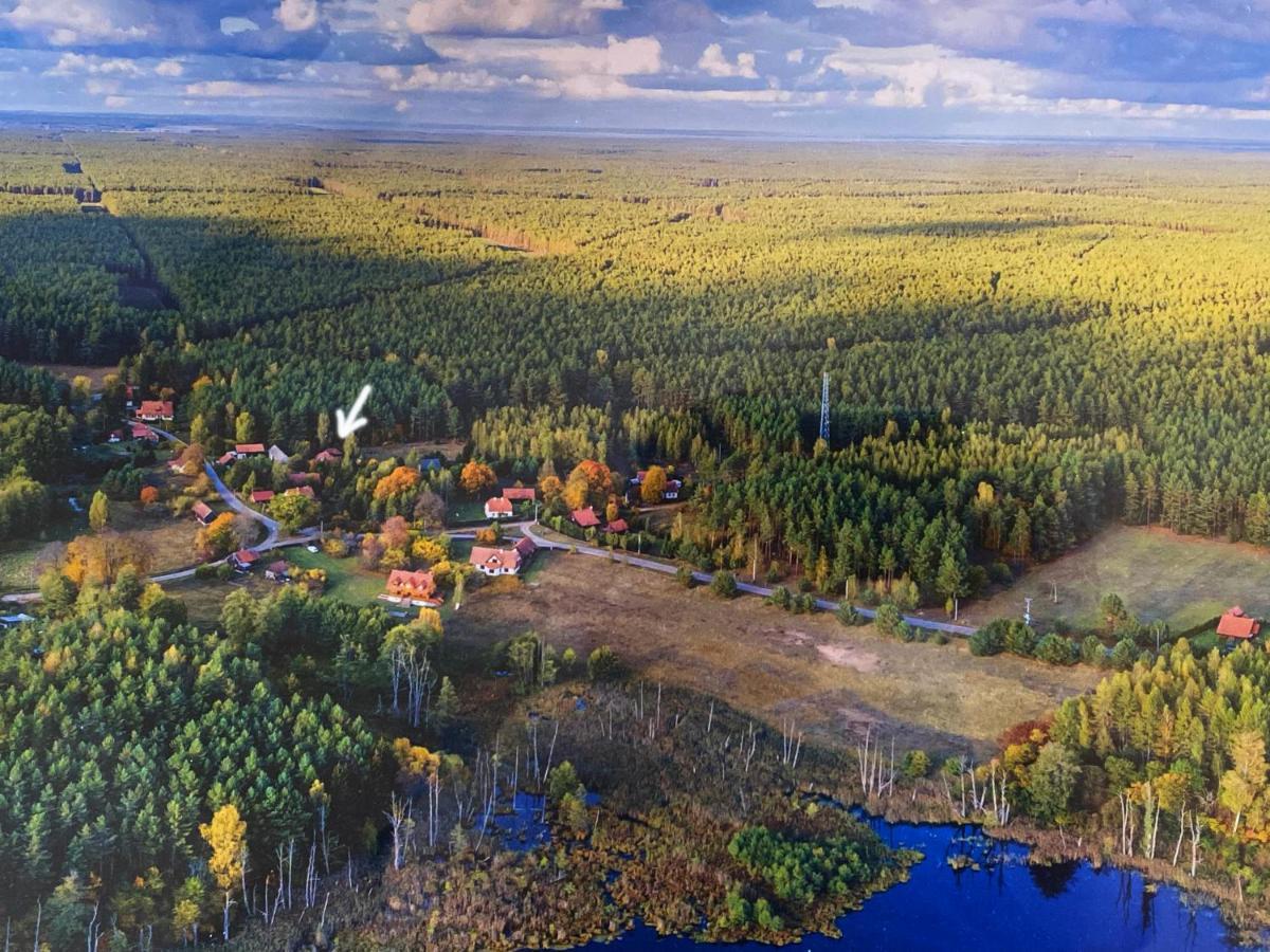 Szeroki Bor Oaza W Puszczy Z Sauna, Bania I Jacuzzi Buitenkant foto