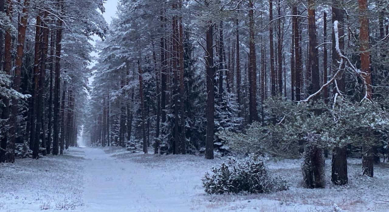 Szeroki Bor Oaza W Puszczy Z Sauna, Bania I Jacuzzi Buitenkant foto