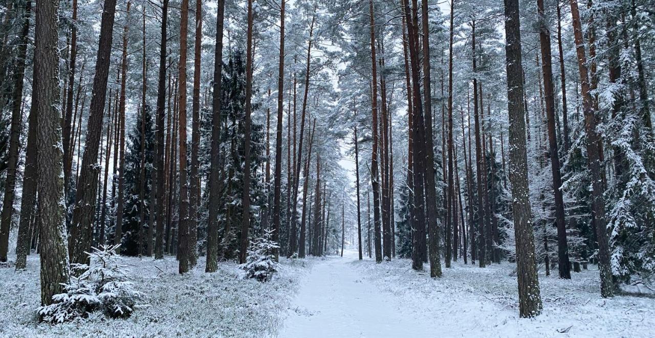 Szeroki Bor Oaza W Puszczy Z Sauna, Bania I Jacuzzi Buitenkant foto